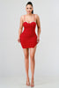 Red Ruby Mini Dress (RED)